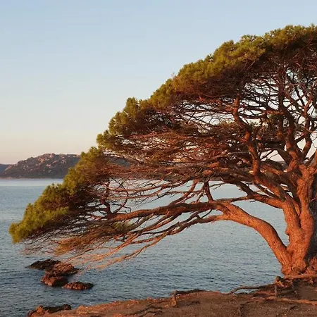 Liccia Di Furu 아파트호텔 4*