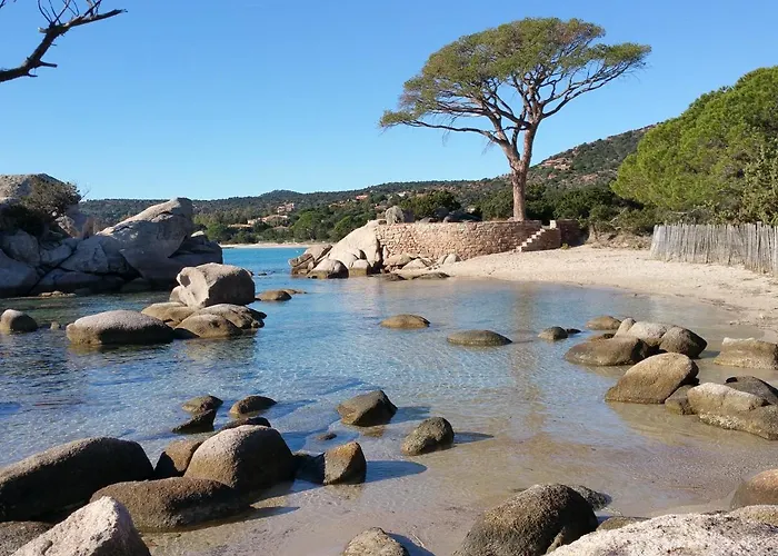 Apartahotel Résidence Liccia Di Furu 4*