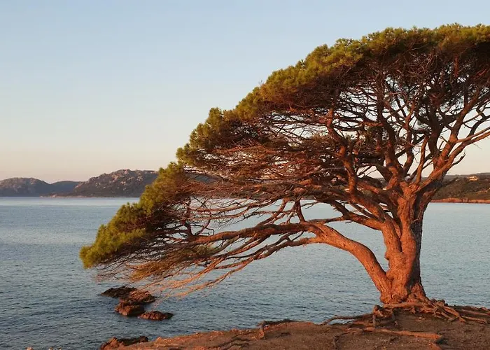 Résidence Liccia Di Furu Apartahotel 4*