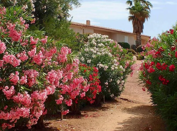 Apartahotel Résidence Liccia Di Furu